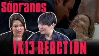 The Sopranos 1X13 I DREAM OF JEANNIE CUSAMANO reaction [upl. by Eigla160]