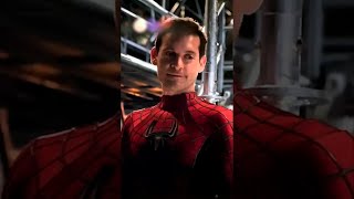 TOP 5 Curiosidades Sobre Tobey Maguire em Spider Man No Way Home [upl. by Sillaw339]