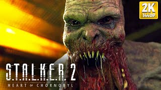 STALKER 2 Heart of Chornobyl  A Primeira Meia Hora PC2K [upl. by Ruvolo]