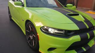 2019 Dodge Scatpack 392 Sublime Metalic Clear Coat [upl. by Nit]