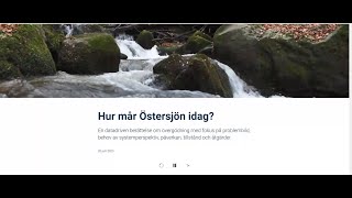 Hur mår Östersjön idag [upl. by Arnon638]