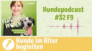 Hunde im Alter Wie können wir sie unterstützen  zooplus Hundepodcast  S2 F9 [upl. by Caesaria]