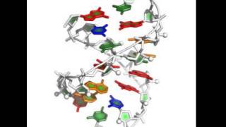 signal recognition particle RNA  illustration of stepwise monte carlo [upl. by Michon857]