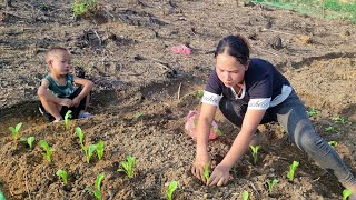 Tilling the land to plant more vegetables with my son [upl. by Akeinahs366]