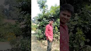 Latrin mein Khoon Gira tha🤣 trending shorts comedy funny fun [upl. by Jepson]