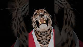 Leopard s Mighty Roar 🐯🐯🐯🐯🐯funny video [upl. by Dnamron586]