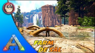 🔵 ARK SURVIVAL EVOLVED  RAGNAROK ONDE ENCONTRAR SAL PARA CONSERVAPTBR [upl. by Mccowyn]