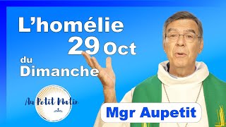 Homélie du Dimanche 29 Octobre  Avec Mgr Aupetit [upl. by Otrebire]