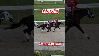 Cabernet and Elijah Greenidge winning race 8 at GulfstreamPark [upl. by Aisenet457]