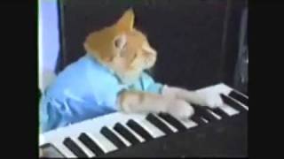 Keyboard Cat loop [upl. by Nairrad]