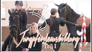 EIN MONAT MIT MIDNIGHT  JUNGPFERDEAUSBILDUNG TEIL I 🐴  ASKINO CONSAS amp Chaosponyy [upl. by Whale]