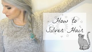 How to Silver Hair using Ion Color Brilliance  Kathleens Basics [upl. by Rusty]