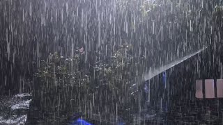 Sleep Instantly With Rain Sounds amp Thunder At Night  Heavy Rain on a Tin Roof For Sleeping 247 [upl. by Jonathon479]