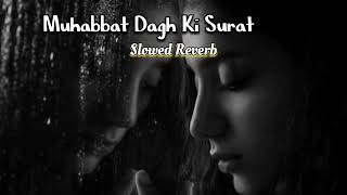 Muhabbat Dagh Ki Surat  slowed reverb full song [upl. by Ylenaj69]