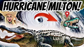 Hurricane Milton Gatorland Faces A Powerful Hurricane amp Tornadoes in Florida [upl. by Mayda]