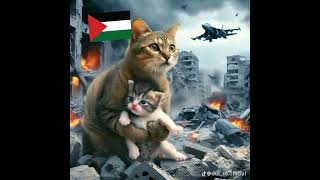 philistin 🥲🥲💪🇵🇸 sad treanding philistine viralvideo foryou [upl. by Lisk]