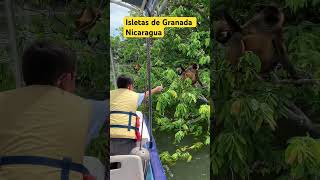 Isletas de Granada Nicaragua Sigan el canal mi raza [upl. by Hitt]