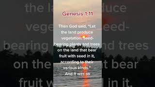 What Genesis 111 REALLY Means [upl. by Olin]