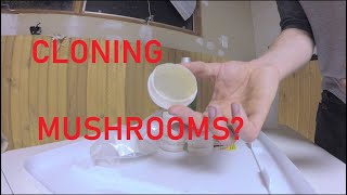 outdated Mushroom Cloning Simplified  Part 1 Malt Extract Agar Preparation [upl. by Ayocat987]