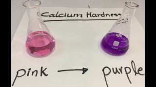 Calcium Hardness experiment [upl. by Pietro]