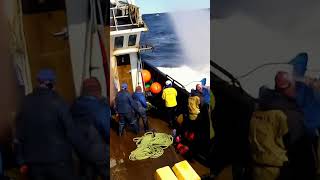 WHALE ATTACKS THE BOAT  BALLENA ATACANDO BARCO PESQUERO [upl. by Ramso947]