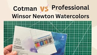 Product review Cotman Watercolors vs Winsor Newton Professional Watercolors [upl. by Lrig]