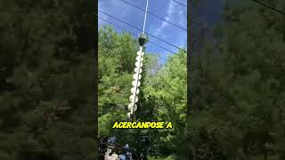 Podando árboles desde el aire ¡Increíble técnica [upl. by Clemente529]