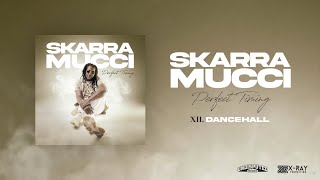 Skarra Mucci  Dancehall Official Audio [upl. by Esinal]