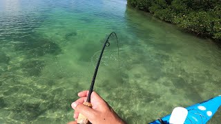 Top Tip For Trophy FishingFun Fishing [upl. by Ostler]