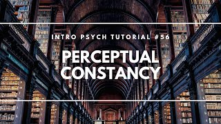 Perceptual Constancy Intro Psych Tutorial 56 [upl. by Elicia85]