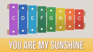 How to play You Are My Sunshine on a Xylophone Easy Songs Tutorial [upl. by Hazlett]