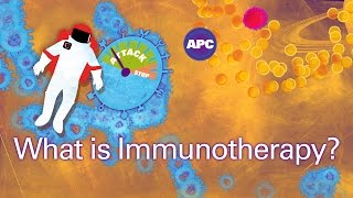 How does cancer immunotherapy work [upl. by Otilia]