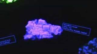 Flourescent Minerals [upl. by Carn]