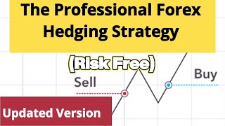 Professional Risk Free Forex Hedging Strategy [upl. by Nonnairb580]