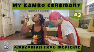 My Kambo Ceremony 🐸🤢🤮🙌🏾 3 with Light and Kambo 💚 [upl. by Akkim]