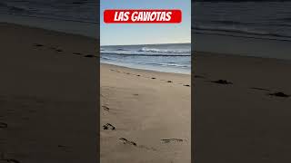 LAS GAVIOTAS fishing fish argentina fishingvideo amigos pesca pescaria pescador [upl. by Eugenio]