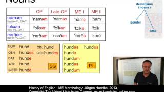 HIS132  ME Morphology [upl. by Higbee684]