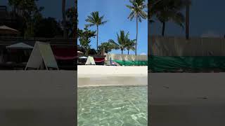 Chaweng beach Koh Samui nature beach relaxing travel inspiration [upl. by Luann]