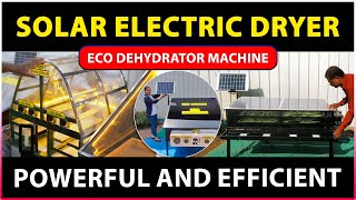 Solar Electric Dryer for Fruits and Vegetables  Eco dehydrator Machine [upl. by Elatnahs]