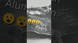 Mercury Hg reacts with Aluminium Al 😮 😱 chemistry chemistrynotes science sciencefacts cool [upl. by Waterer]