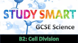 B2 Cell Division EDEXCEL [upl. by Sosanna]