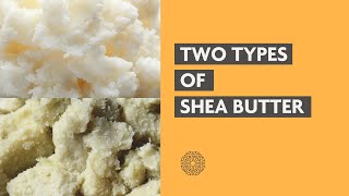 Two Types of Shea Butter Refined vs Raw Unrefined What’s The Difference [upl. by Haya]