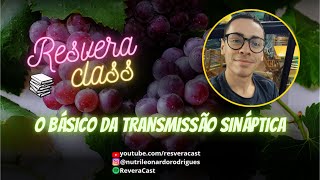 ResveraClass 33  O básico da transmissão sináptica [upl. by Reffinnej]