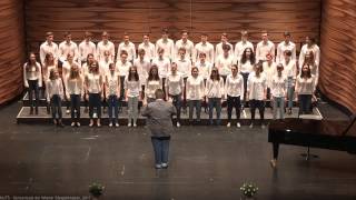 Der Kammerchor des Musikgymnasiums Wien am 04042017 beim Wiener Jugendsingen [upl. by Norvil458]