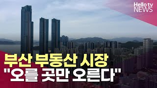 오를 곳만 오르는 부산 부동산 시장…quot양극화 심화quotㅣ헬로tv뉴스 [upl. by Adirf]