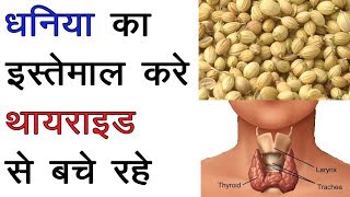 धनिया का इस्तेमाल करे थायराइड से बचे रहे  Thyroid Problem  Dhaniya for Thyroid Patients [upl. by Richter139]