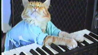 KEYBOARD CAT ORIGINAL CLIP 1984 [upl. by Ardnal]