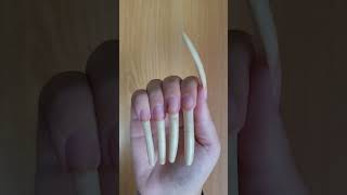 BEFORE TRIMMING 2 YEARS NATURAL LONG NAILS GROWTH 💅🏼 62 CM NAILS [upl. by Vanny]