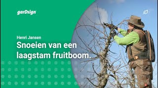 Laagstam fruitbomen snoeien appelboom [upl. by Irab918]