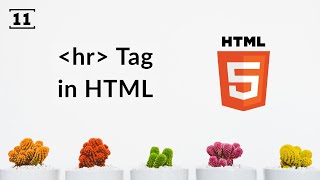 Horizontal Rule  hr tag in HTML [upl. by Eleik]